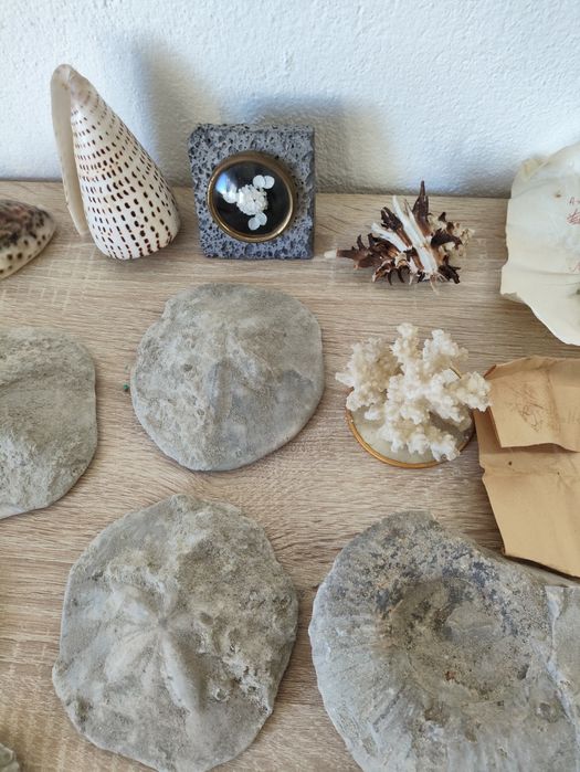 Rochas, Minerais e Fosseis Lote Não Catalogado