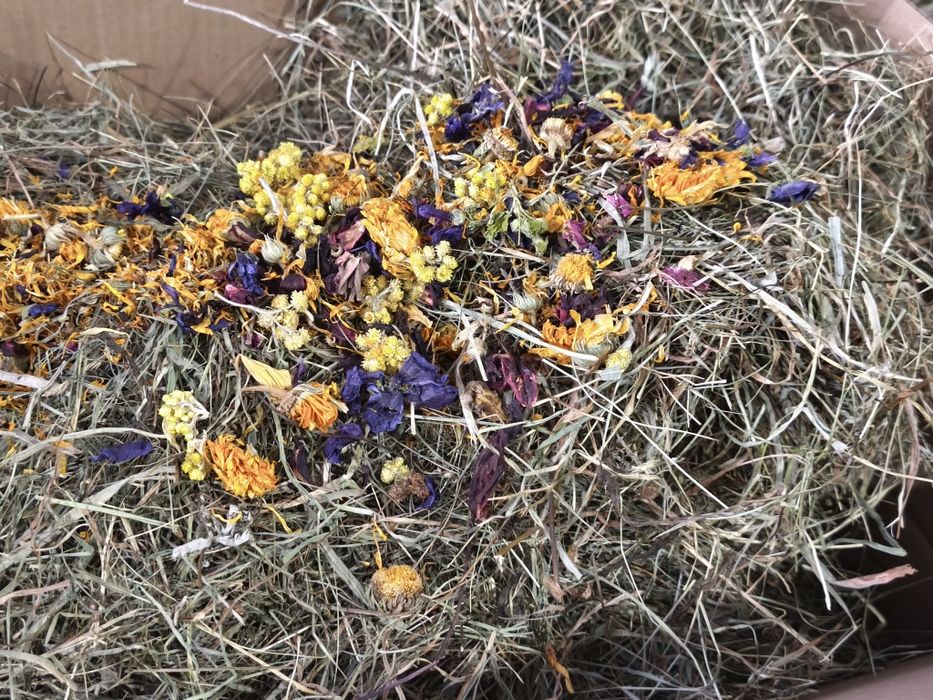 Karton 3 kg siana ziołowego z kwiatkami dla gryzoni, królika, świnki