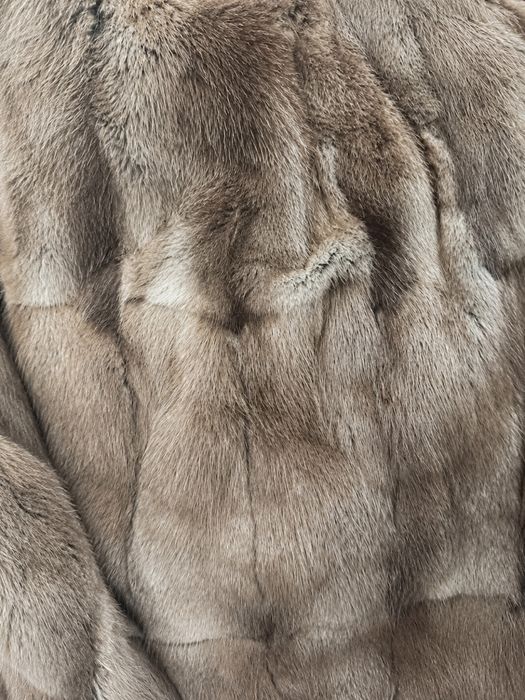 Parajumpers PJS Winter Equipment L Slim Fit – norka + lis