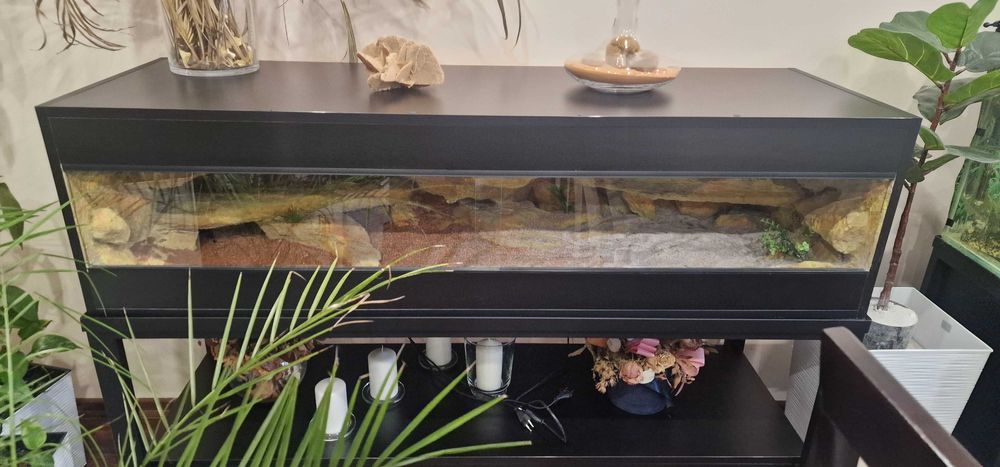 Sprzedam  Terarium 150 cm