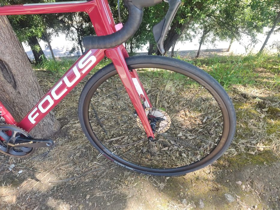 Focus izalco xl com ultegra