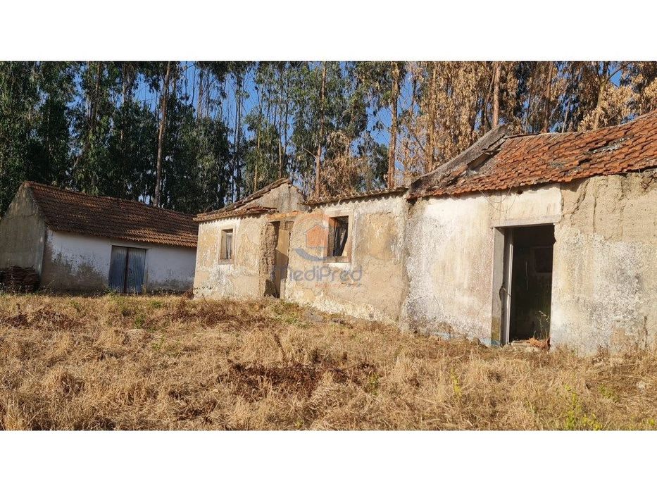 Casa e Adega com 4.200 m2 de terreno | Maxial, Torres Vedras