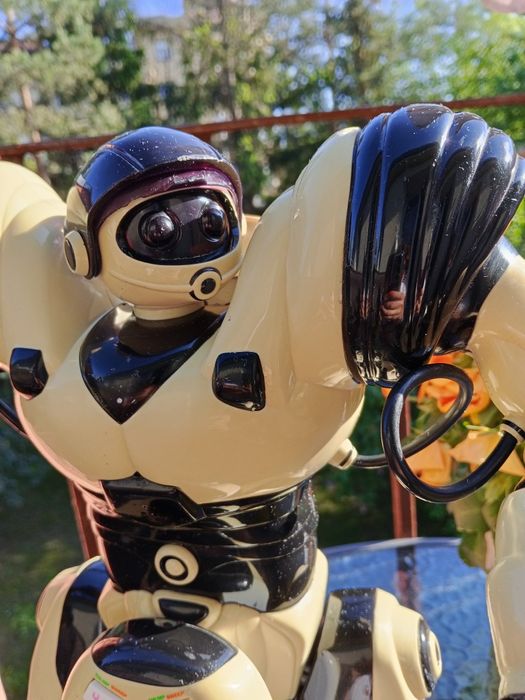 Robot interaktywny