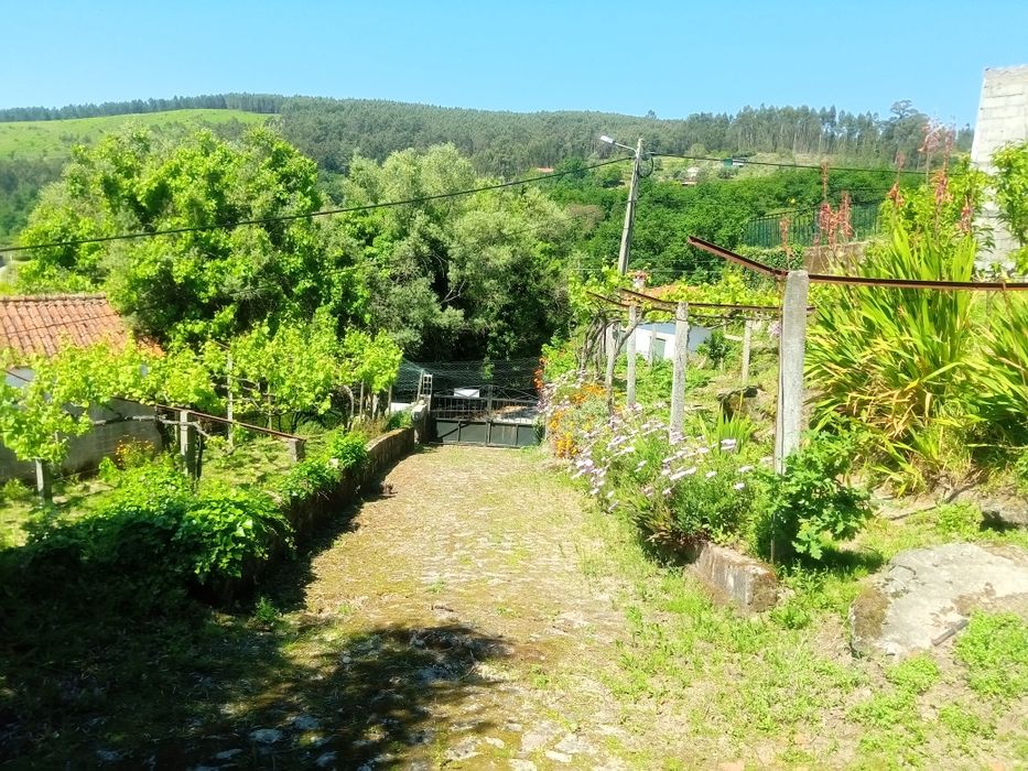 Casa para restaurar e terreno