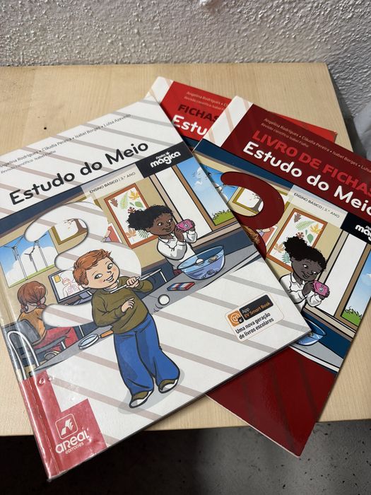 Livro Fichas e Manuais Escolares 3º Ano