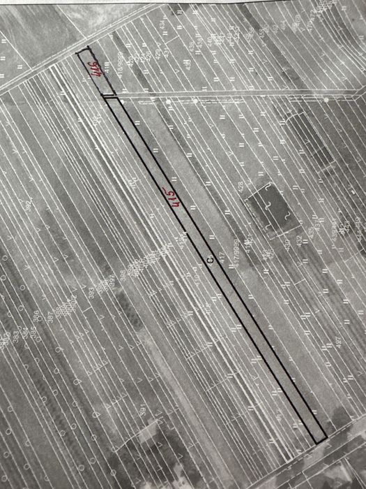 Dzialka 415, 416, 0,21 ha + las