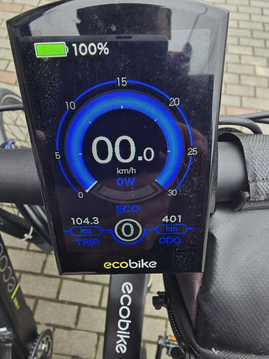Rower Elektryczny EcoBike MX300