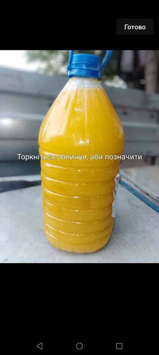 Продам соняшниковий мед