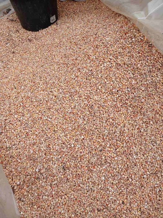 Продам кукурудзу