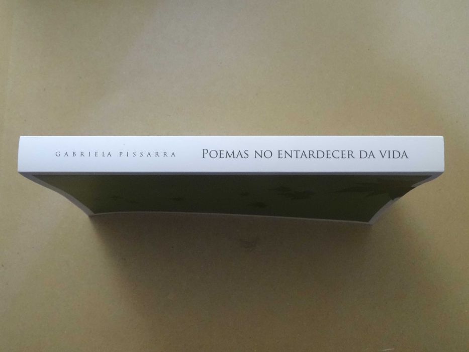 Poemas No Entardecer da Vida de Gabriela Pissarra