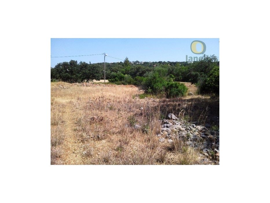 Terreno perto de São Brás de Alportel