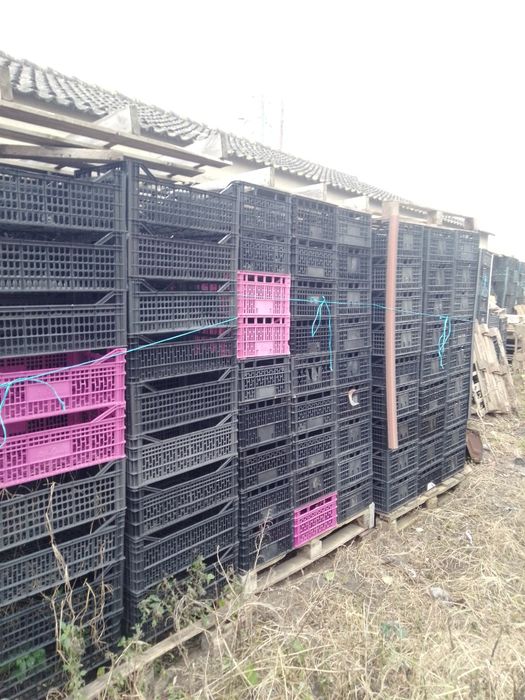 Caixas para Horta 750