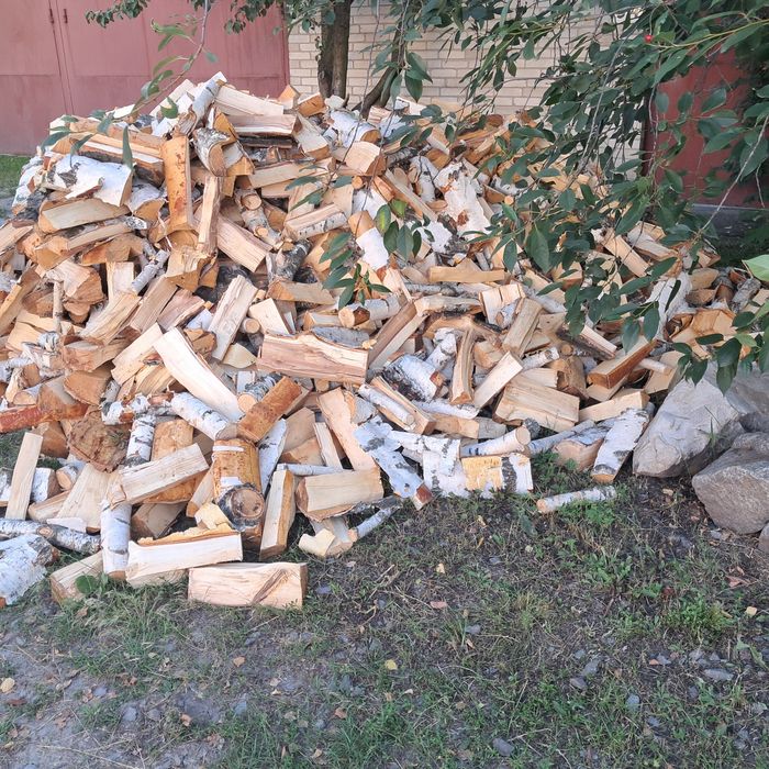 Дрова Берёза Колиті