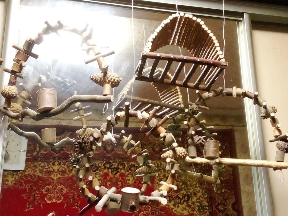 Грызунам и птичкам