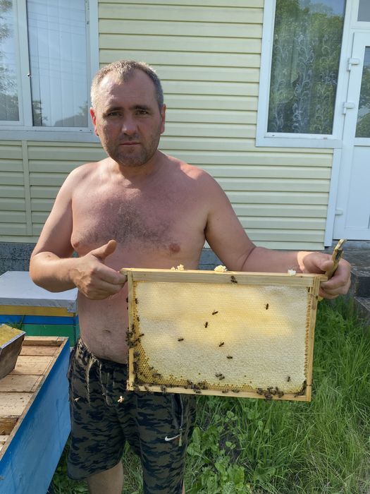 Бджолопакети