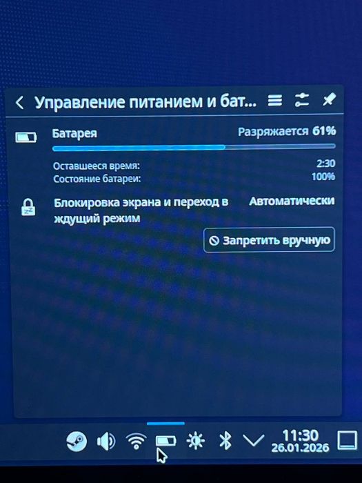Steam Deck 512GB LCD - идеальное состояние, 100% батарея