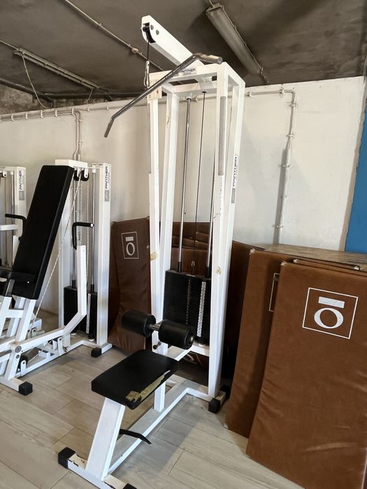 Lat Pulldown  - Panther