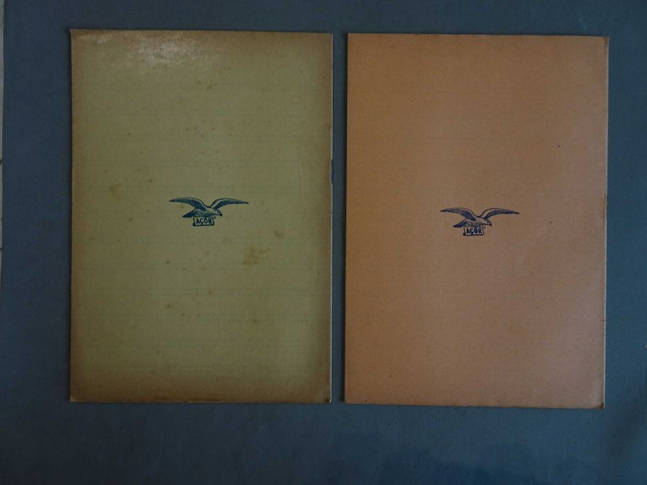 Antigo caderno escolar Açor