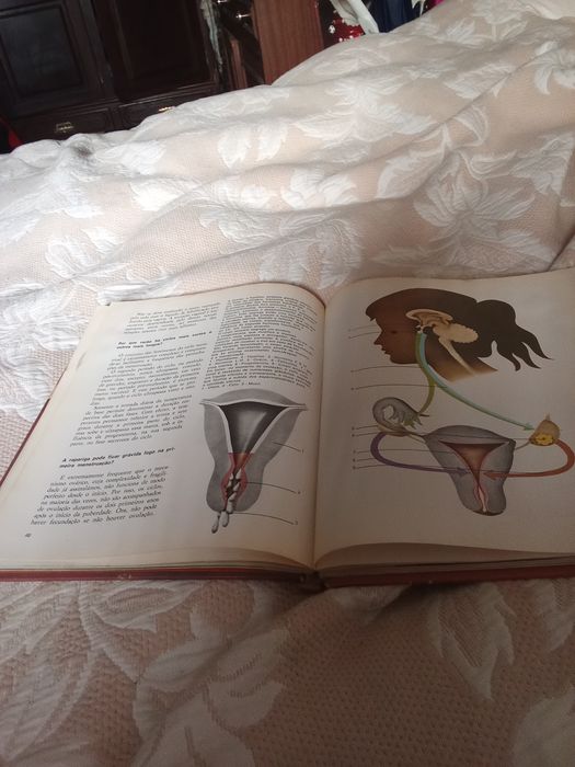 Vendo livro Enciclopedia da vida sexual dos 14 aos 16