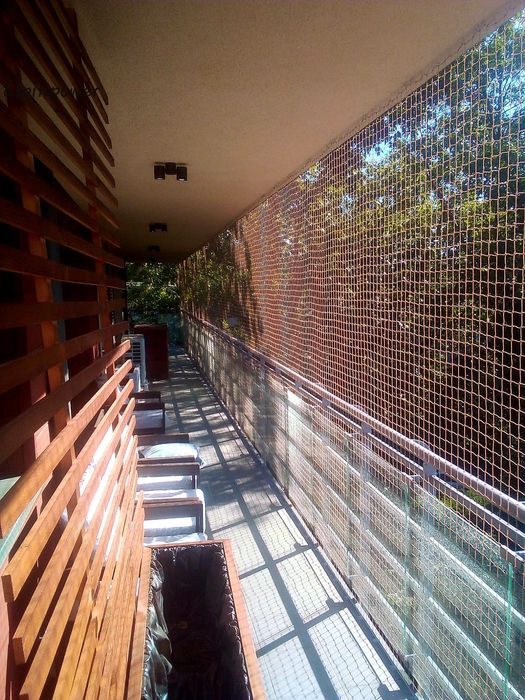 Siatka Dla Kota Na Balkon Okno Taras Montaż Przeciw Ptakóm Na Gołębie