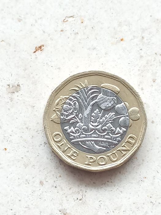 Moeda 1 Pound Elizabeth II D G REG F D 2016