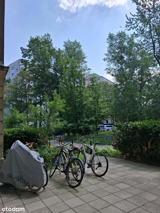 Kawalerka na Andersa, Muranów