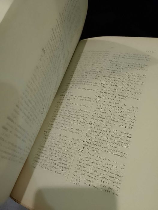 Exercícios e primeiras Leituras de Sânscrito 1898