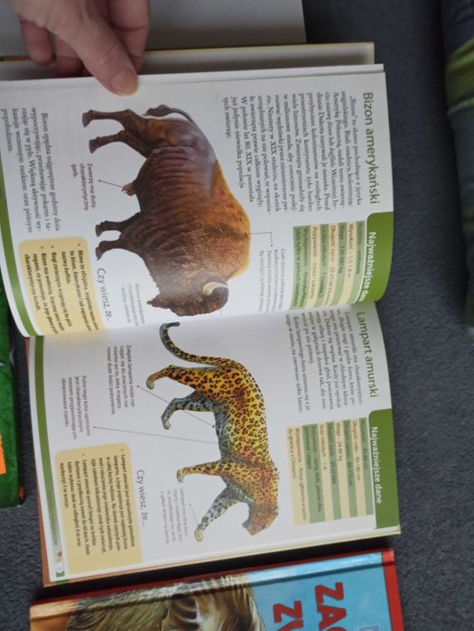 Książka Atlas zwierząt