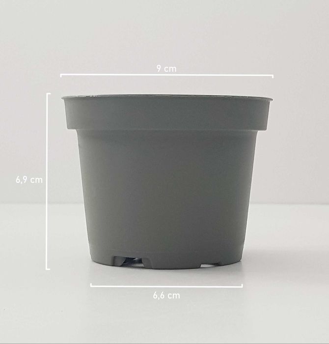 Vasos de Plástico para Plantas