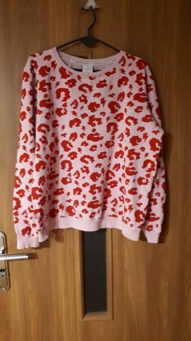 Super bluzka scamp &dude L