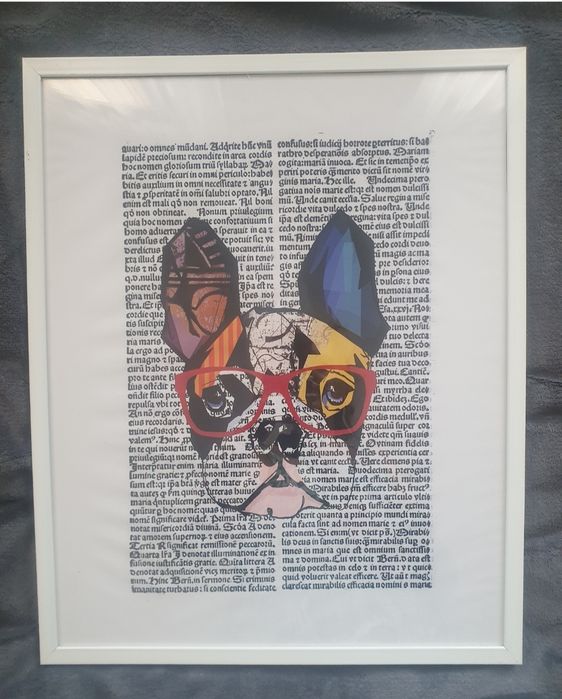 Plakat obraz buldog francuski 40x50