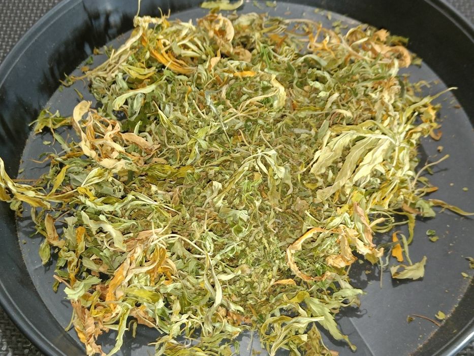 50g suszu kwiaty z liśćmi konopi CBD Przysmak Prezesa
