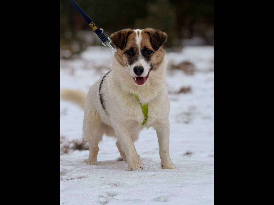 Młodziutki,malutki ,cudowny,tak długo czeka.