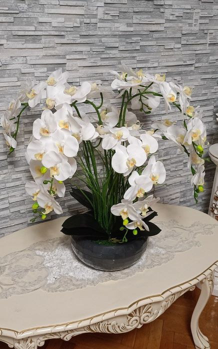 Латексна орхідея преміум якості