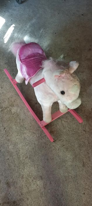 Konik na biegunach