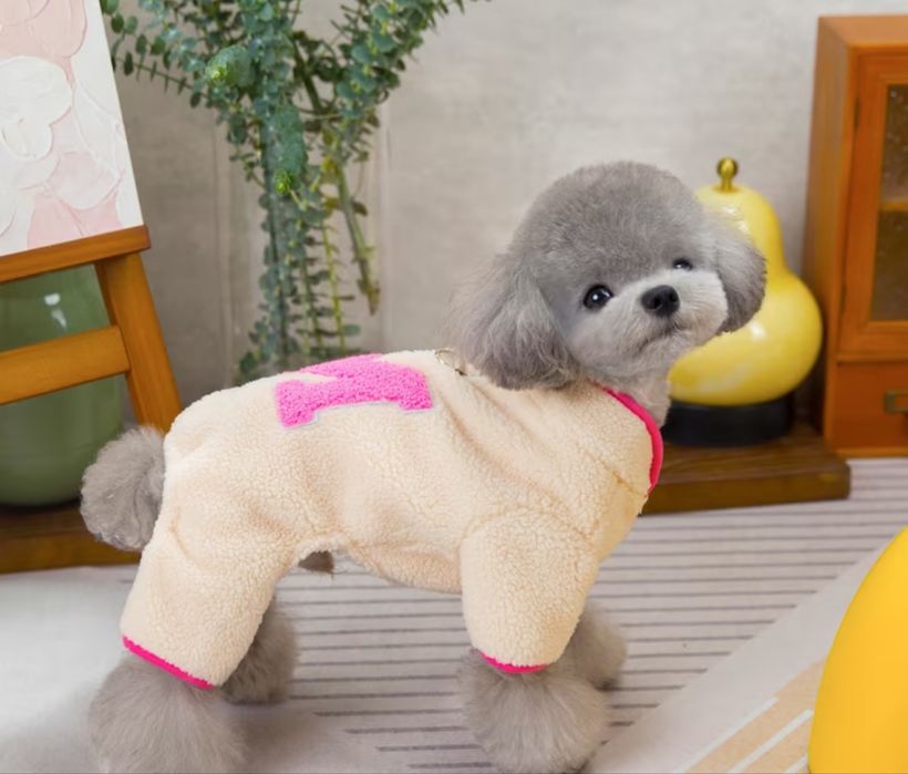 Комбінезон для собак (одяг для малих порід/одежда для йорка, чихуа)