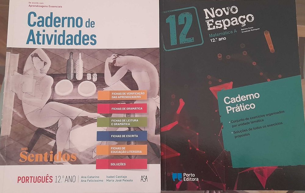Cadernos atividades 12° ano