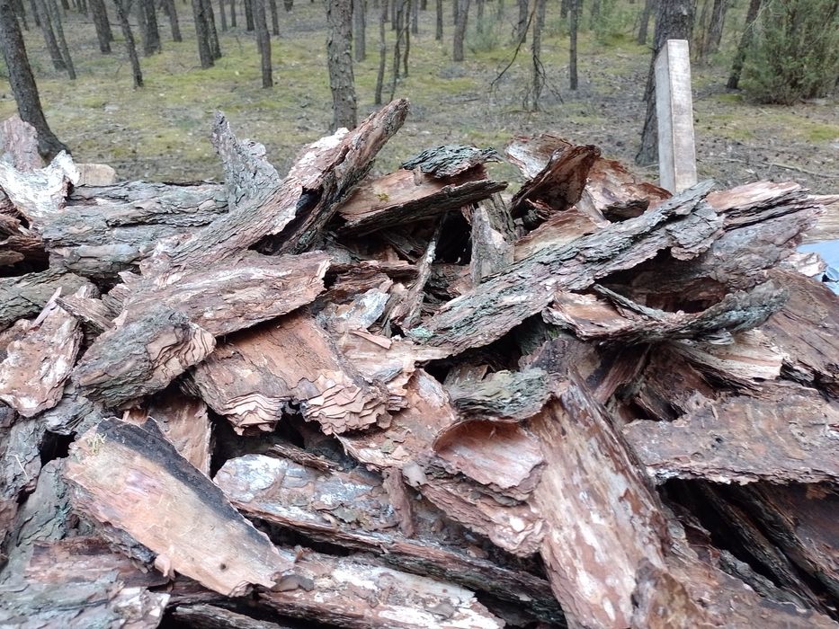 Kora sosnowa workowana Zrębka liściasta workowana