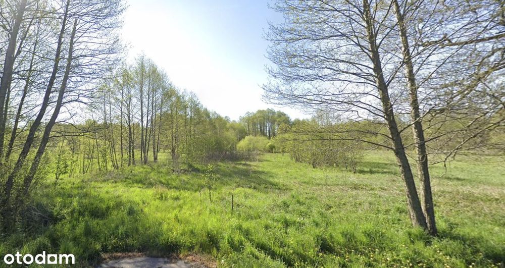 Działka inwestycyjna na sprzedaż Łojew k. Łochowa przy DK50 /MPZP 2U/P - Widok 2