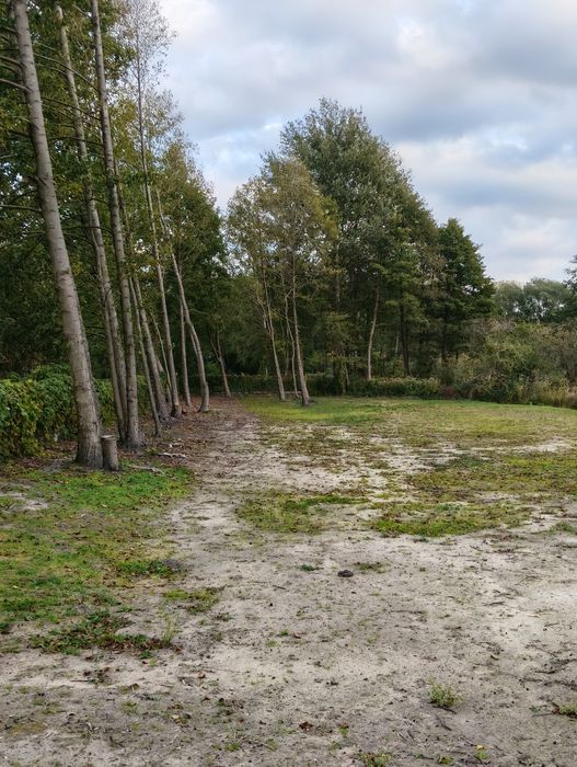 Sprzedam działki nad jeziorem