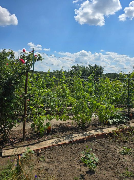 Продаж дачі в с.Черкас поруч з лісом