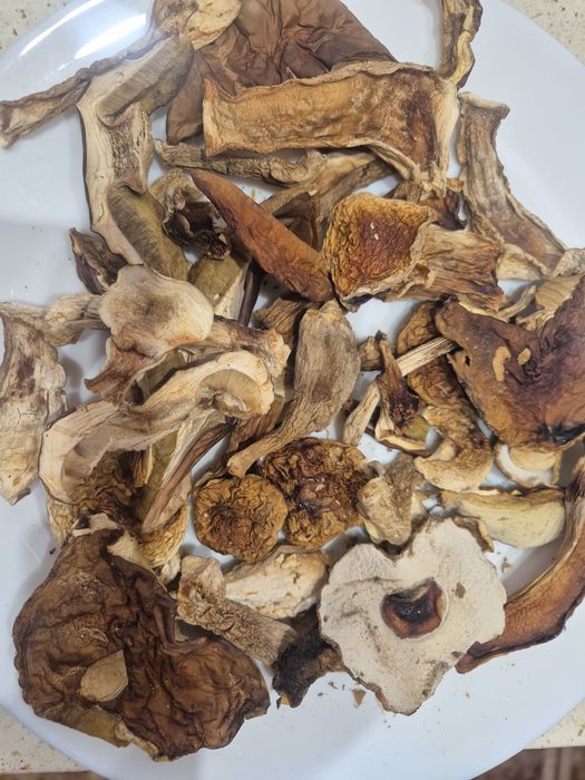 Suszone grzyby. Prawdziwek, podgrzybek i miszane