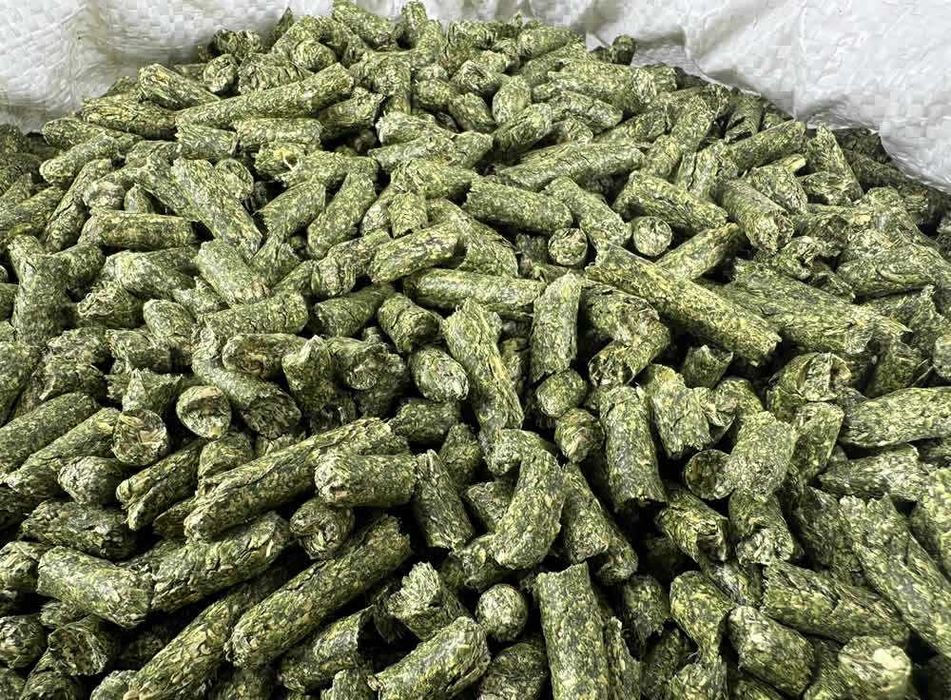 Lucerna Granulowana 20 KG Kozy Owce Alpaki Pellet Białko