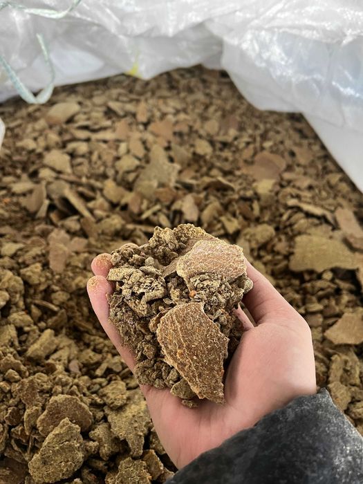 Makuch z pestek dyni / 46% BIAŁKO