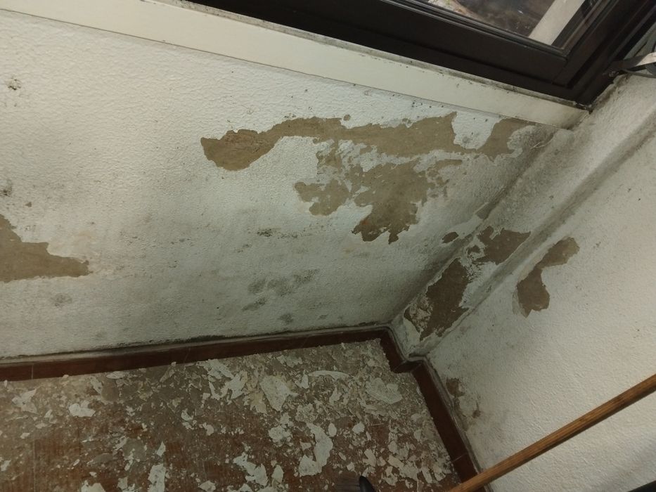 Humidade, bolor e infiltrações – resolvo rápido | Lisboa