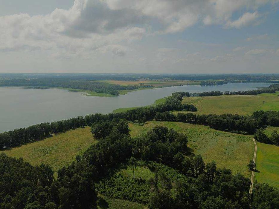 Mazury, Giżycko . Działka z linią brzegową nad jeziorem Dejguny.