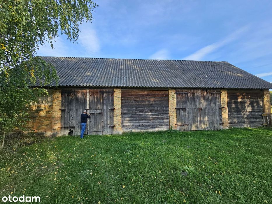 Stary Drewniany Dom Z 1 939 R. 7 791 M² Własny Las Brzozowy Osówka