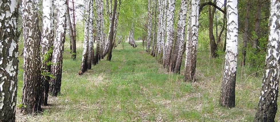 Участок 25 соток, Низшая Дубечня, Собственник!