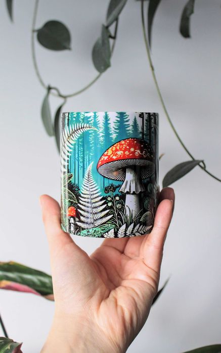 Kubek Muchomor, grzyby leśne paprocie