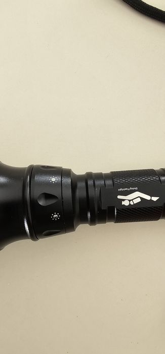 Diving Lantern64584404239491121